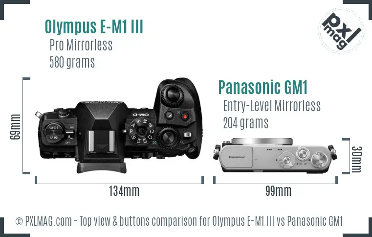 Olympus E-M1 III vs Panasonic GM1 top view buttons comparison