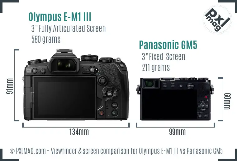 Olympus E-M1 III vs Panasonic GM5 Screen and Viewfinder comparison