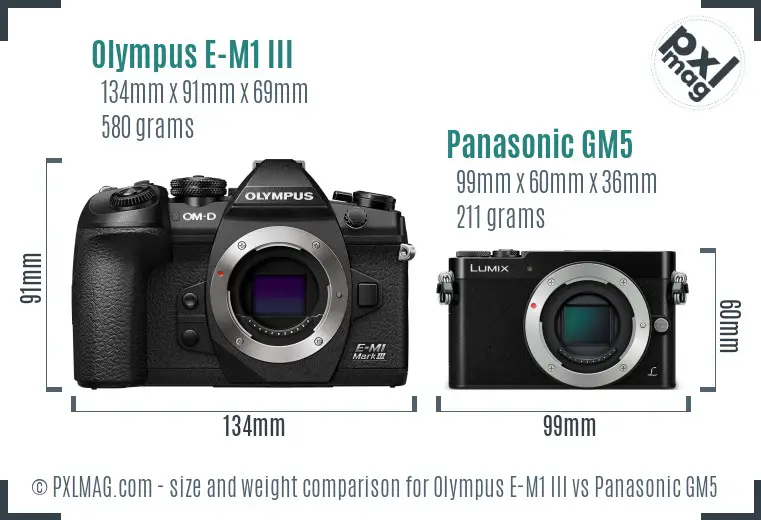 Olympus E-M1 III vs Panasonic GM5 size comparison