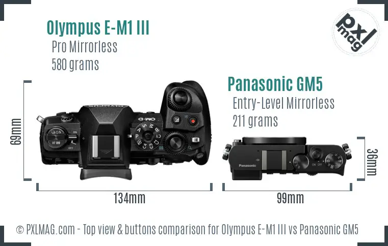 Olympus E-M1 III vs Panasonic GM5 top view buttons comparison