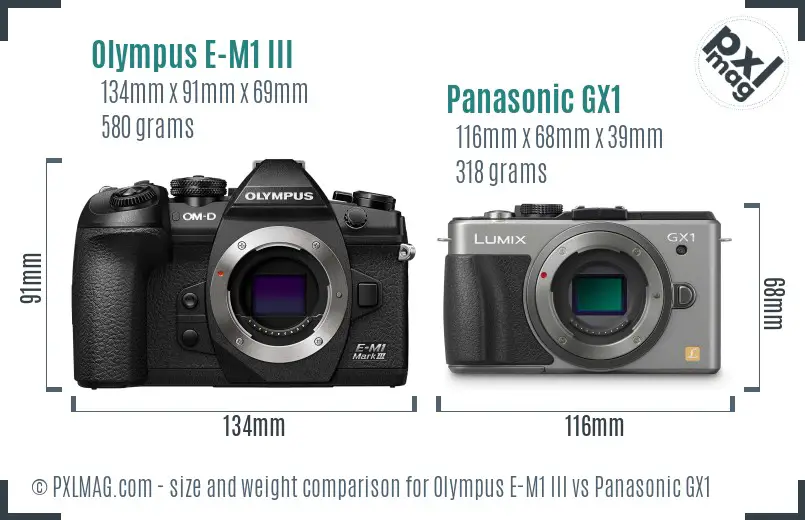 Olympus E-M1 III vs Panasonic GX1 size comparison