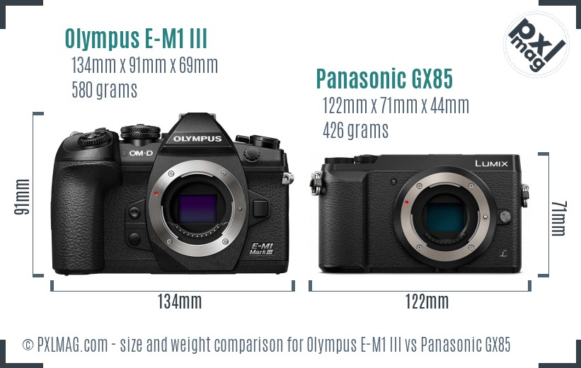 Olympus E-M1 III vs Panasonic GX85 size comparison