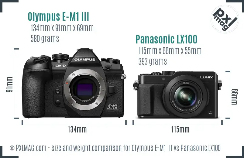 Olympus E-M1 III vs Panasonic LX100 size comparison