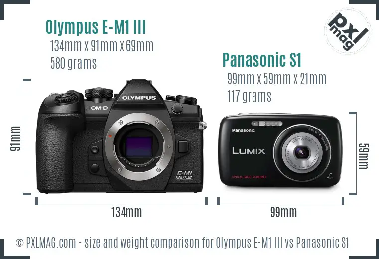 Olympus E-M1 III vs Panasonic S1 size comparison