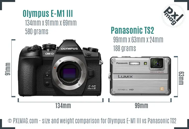Olympus E-M1 III vs Panasonic TS2 size comparison