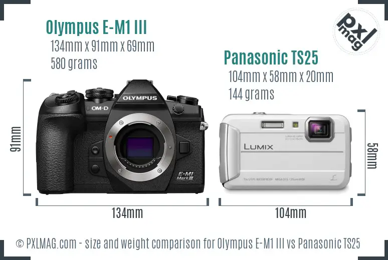 Olympus E-M1 III vs Panasonic TS25 size comparison