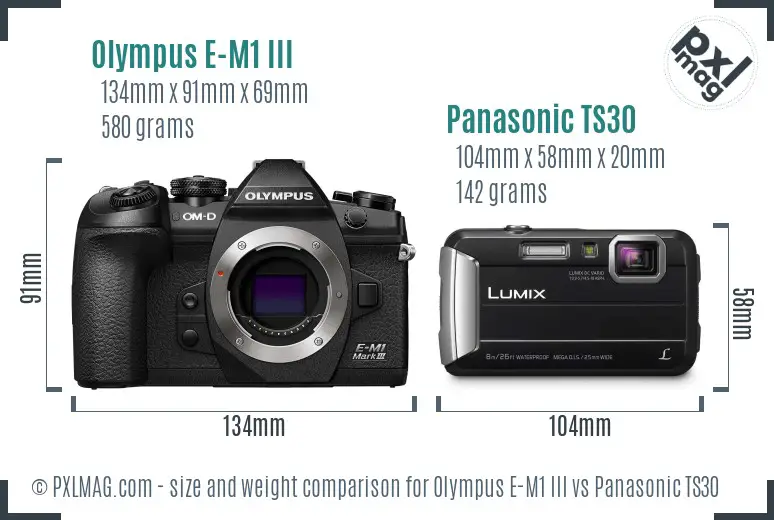 Olympus E-M1 III vs Panasonic TS30 size comparison