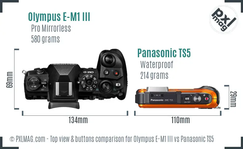 Olympus E-M1 III vs Panasonic TS5 top view buttons comparison
