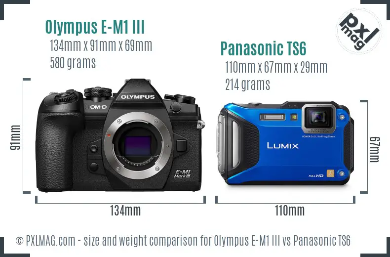 Olympus E-M1 III vs Panasonic TS6 size comparison
