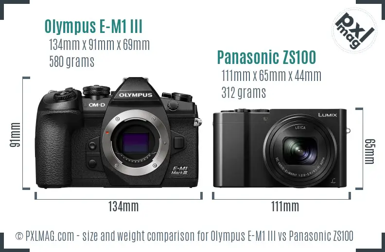 Olympus E-M1 III vs Panasonic ZS100 size comparison