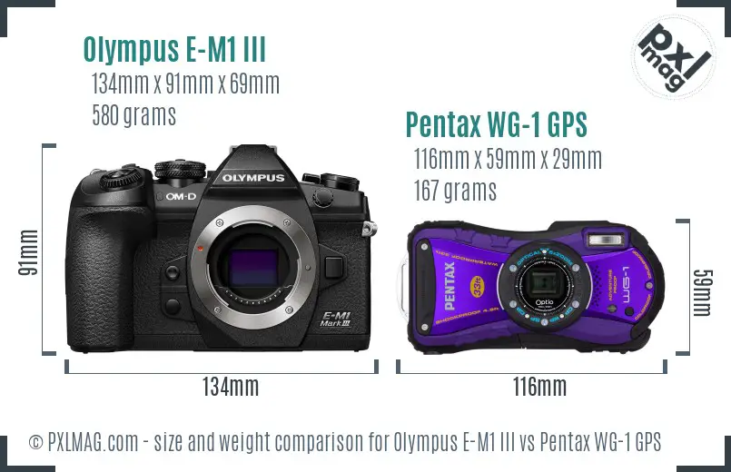 Olympus E-M1 III vs Pentax WG-1 GPS size comparison