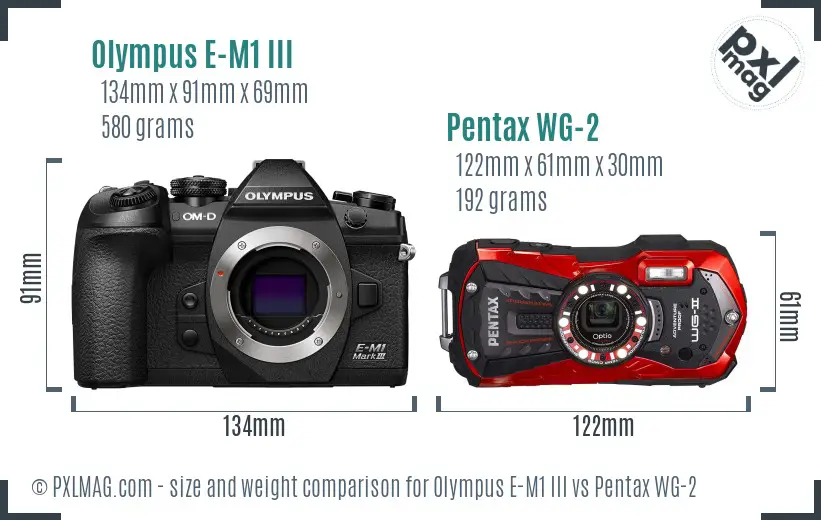 Olympus E-M1 III vs Pentax WG-2 size comparison