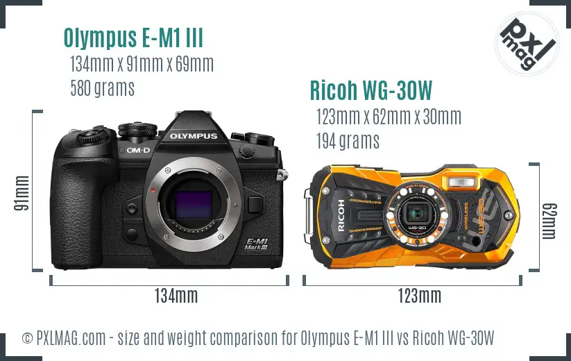 Olympus E-M1 III vs Ricoh WG-30W size comparison