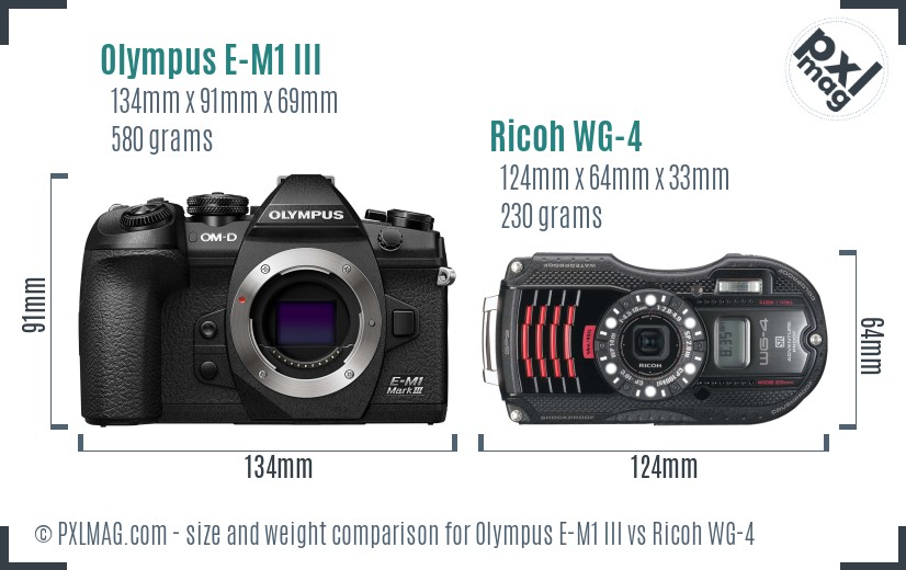 Olympus E-M1 III vs Ricoh WG-4 size comparison