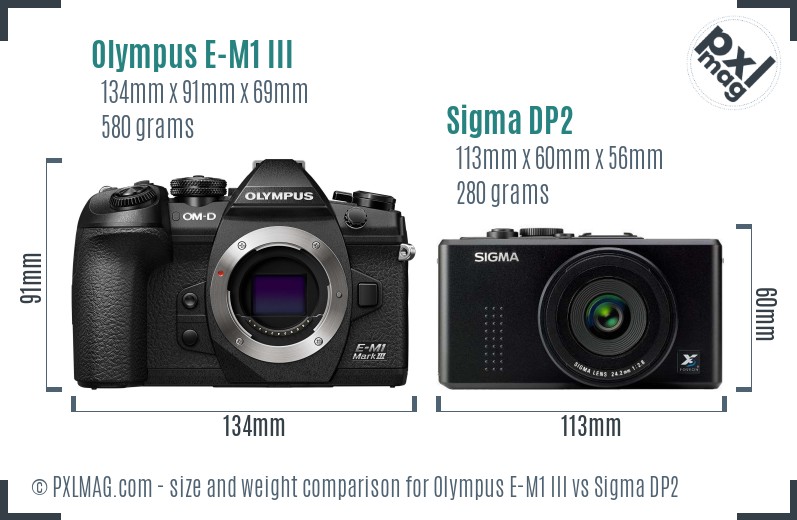 Olympus E-M1 III vs Sigma DP2 size comparison