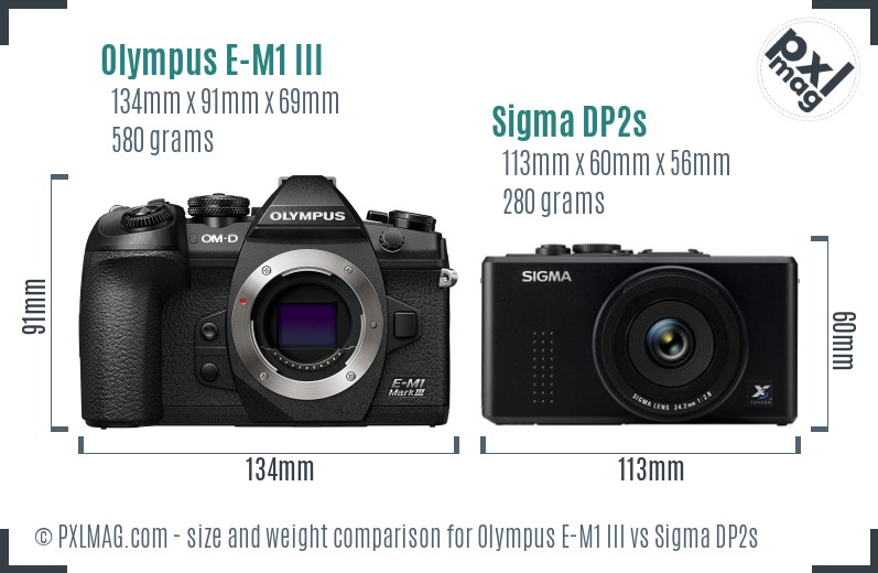 Olympus E-M1 III vs Sigma DP2s size comparison