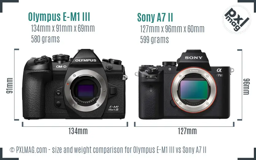 Olympus E-M1 III vs Sony A7 II size comparison