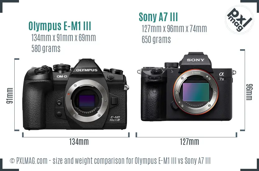 Olympus E-M1 III vs Sony A7 III size comparison