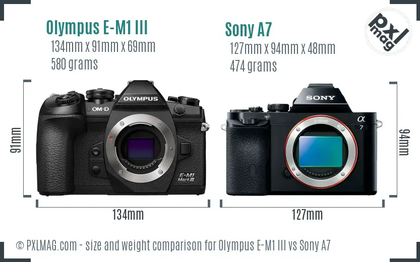 Olympus E-M1 III vs Sony A7 size comparison