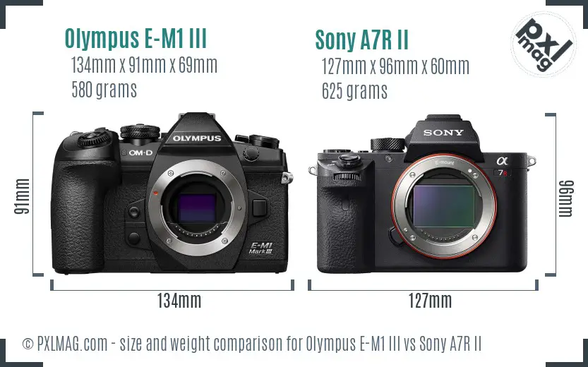 Olympus E-M1 III vs Sony A7R II size comparison