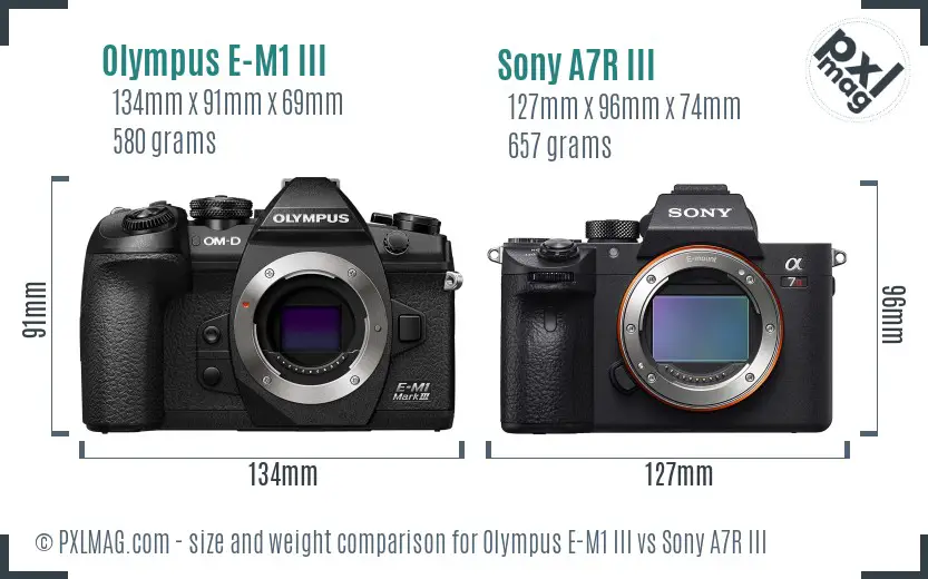 Olympus E-M1 III vs Sony A7R III size comparison