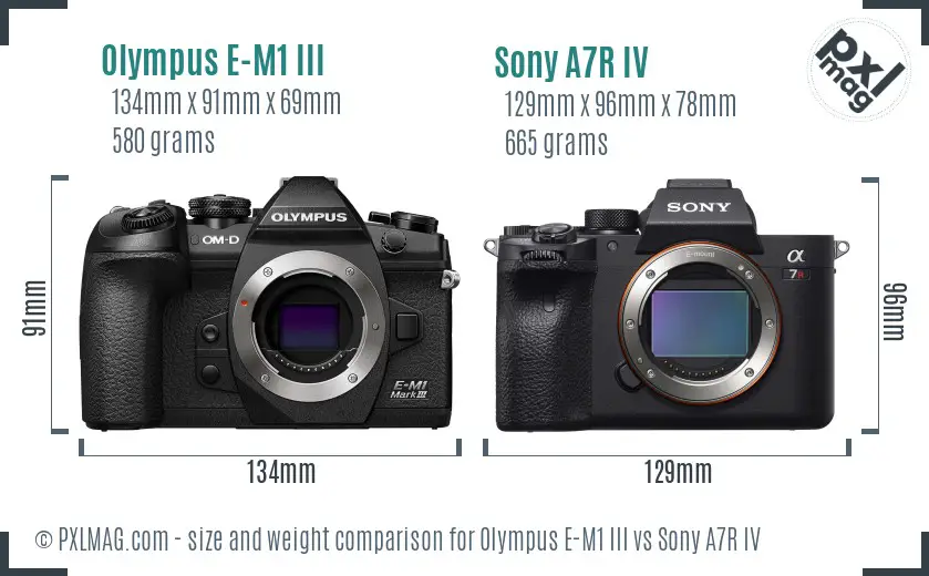 Olympus E-M1 III vs Sony A7R IV size comparison