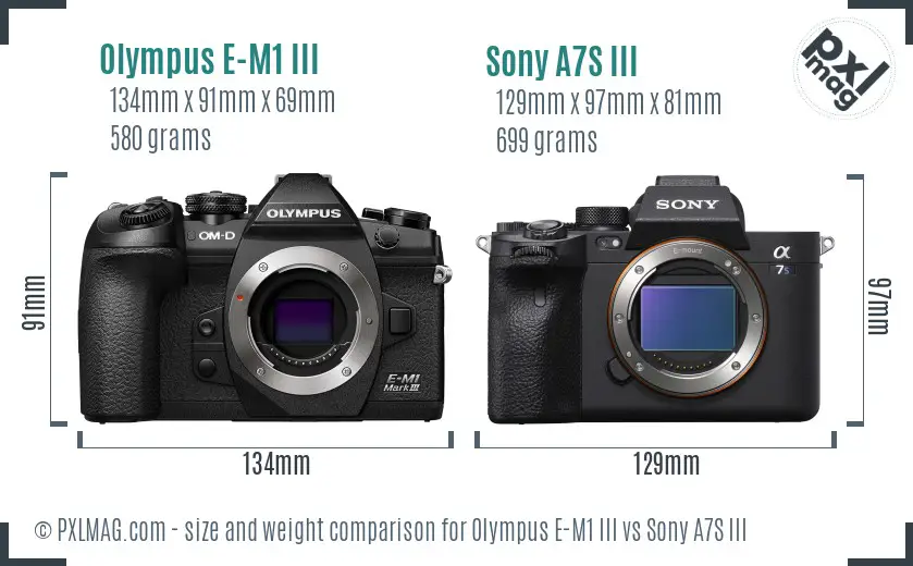Olympus E-M1 III vs Sony A7S III size comparison