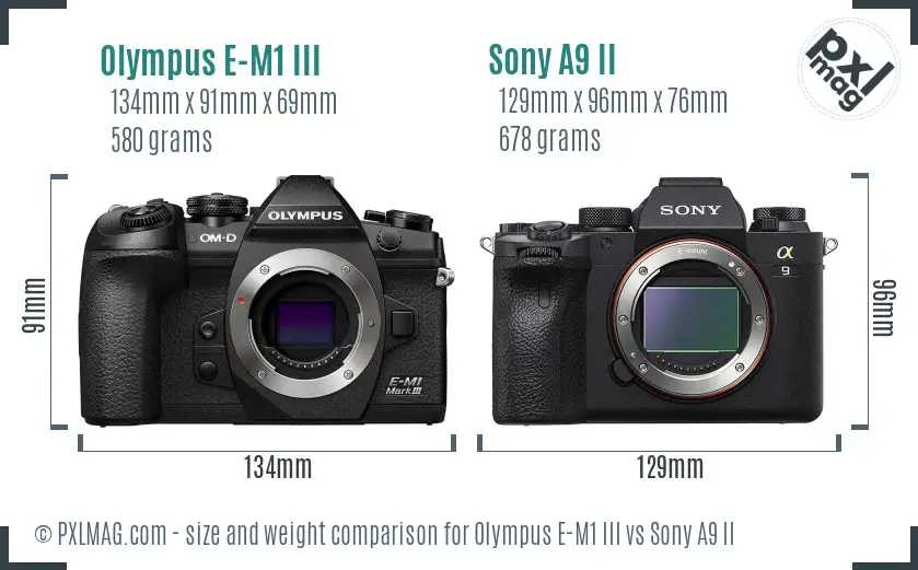 Olympus E-M1 III vs Sony A9 II size comparison