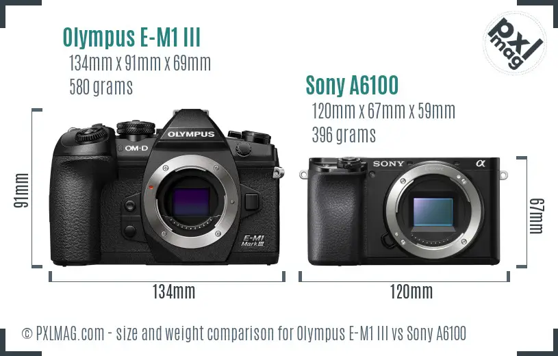 Olympus E-M1 III vs Sony A6100 size comparison