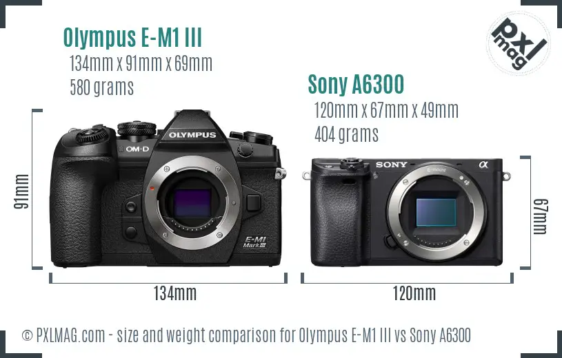 Olympus E-M1 III vs Sony A6300 size comparison
