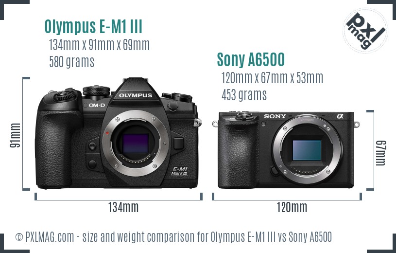 Olympus E-M1 III vs Sony A6500 size comparison