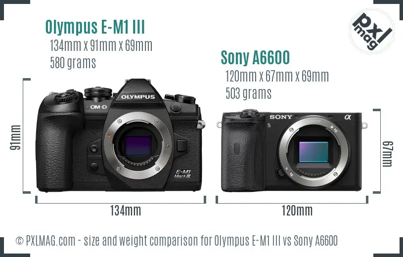 Olympus E-M1 III vs Sony A6600 size comparison