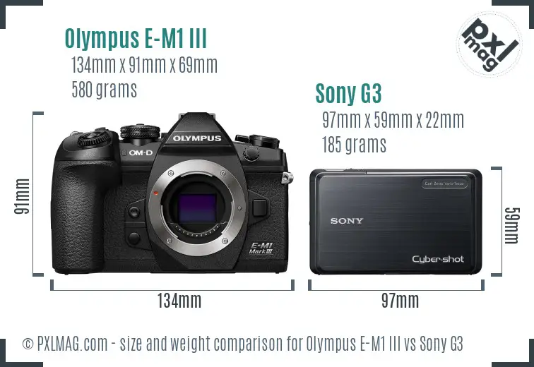 Olympus E-M1 III vs Sony G3 size comparison