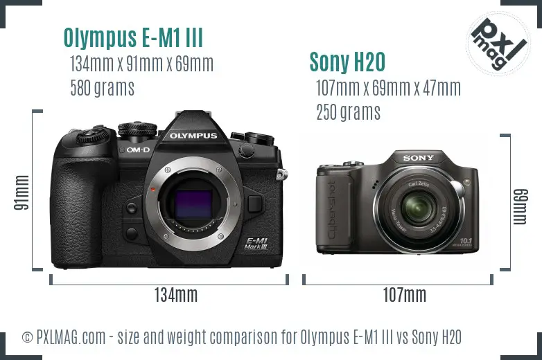 Olympus E-M1 III vs Sony H20 size comparison
