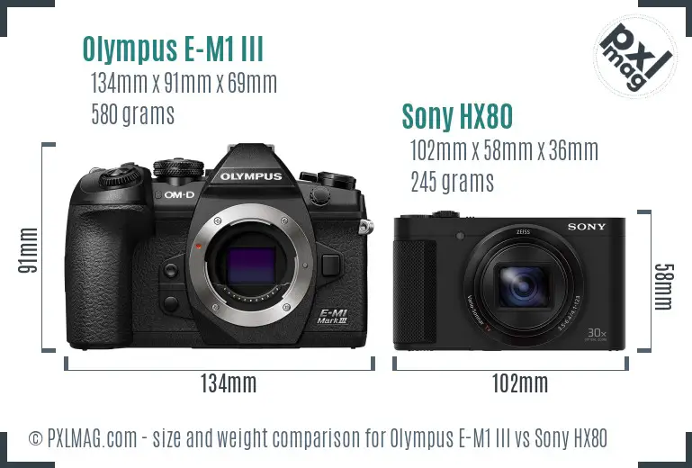 Olympus E-M1 III vs Sony HX80 size comparison