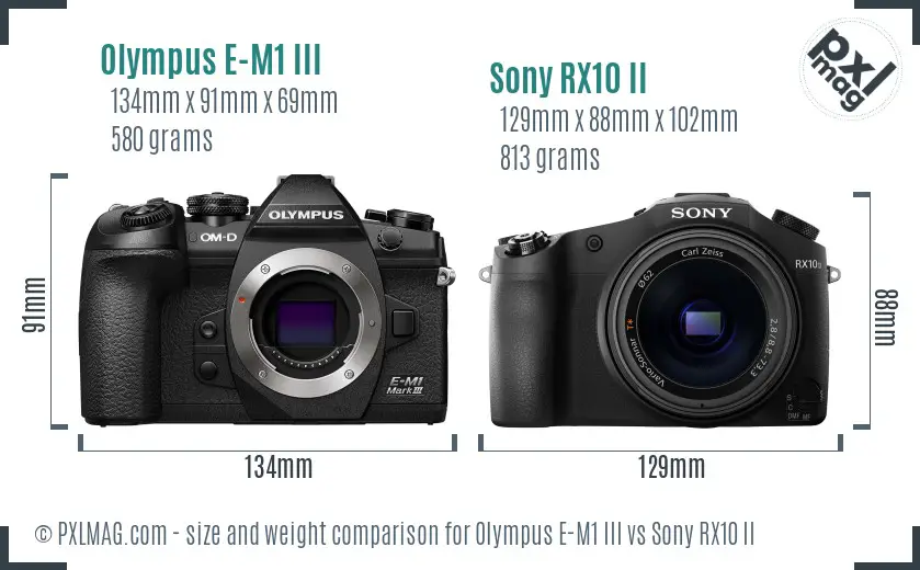 Olympus E-M1 III vs Sony RX10 II size comparison