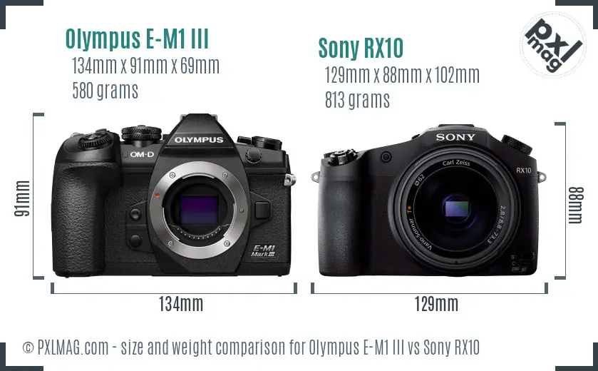 Olympus E-M1 III vs Sony RX10 size comparison