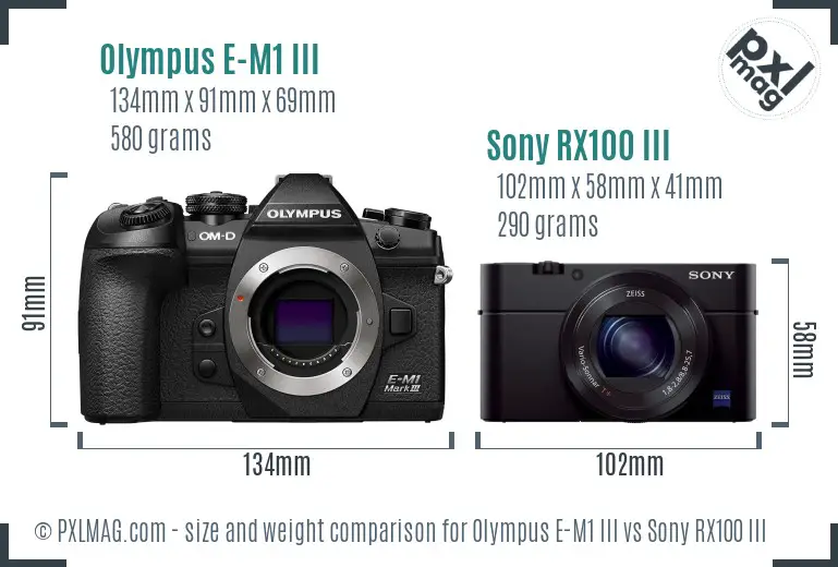 Olympus E-M1 III vs Sony RX100 III size comparison