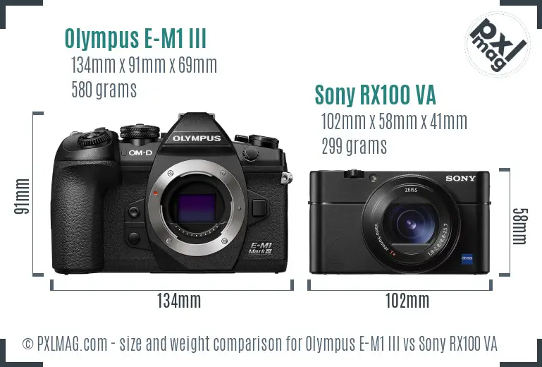 Olympus E-M1 III vs Sony RX100 VA size comparison