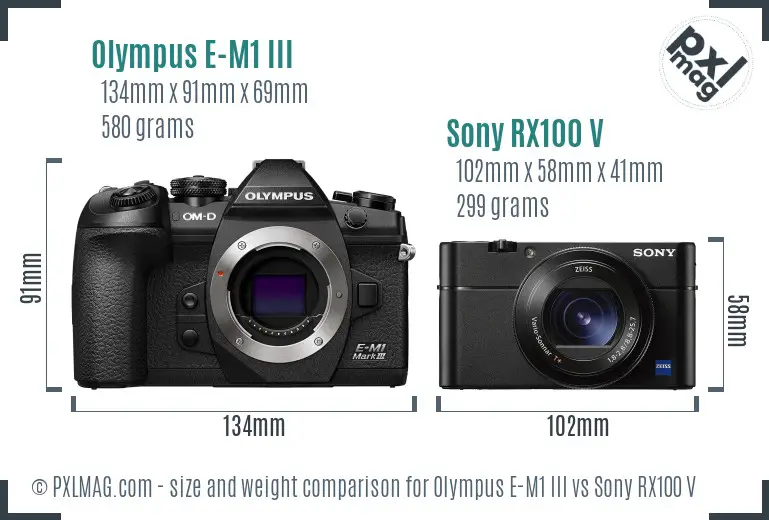 Olympus E-M1 III vs Sony RX100 V size comparison