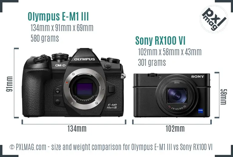 Olympus E-M1 III vs Sony RX100 VI size comparison