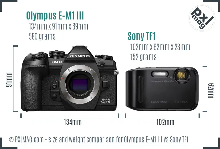 Olympus E-M1 III vs Sony TF1 size comparison