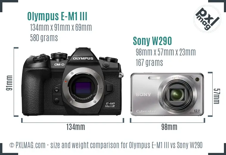 Olympus E-M1 III vs Sony W290 size comparison