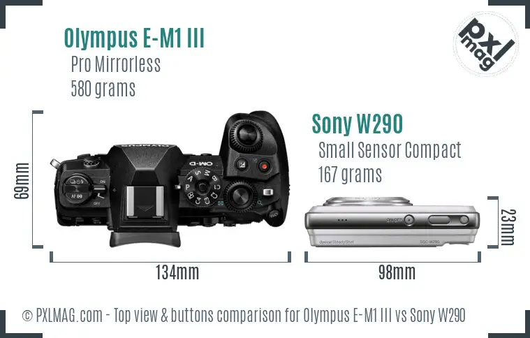 Olympus E-M1 III vs Sony W290 top view buttons comparison