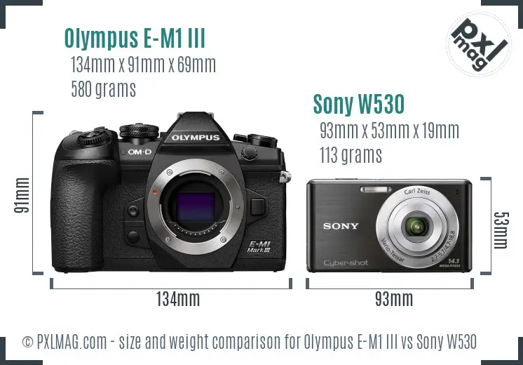 Olympus E-M1 III vs Sony W530 size comparison