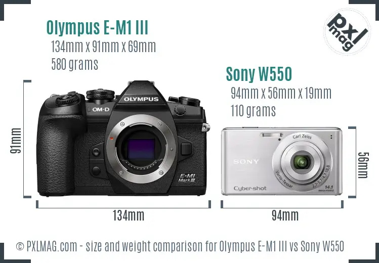 Olympus E-M1 III vs Sony W550 size comparison