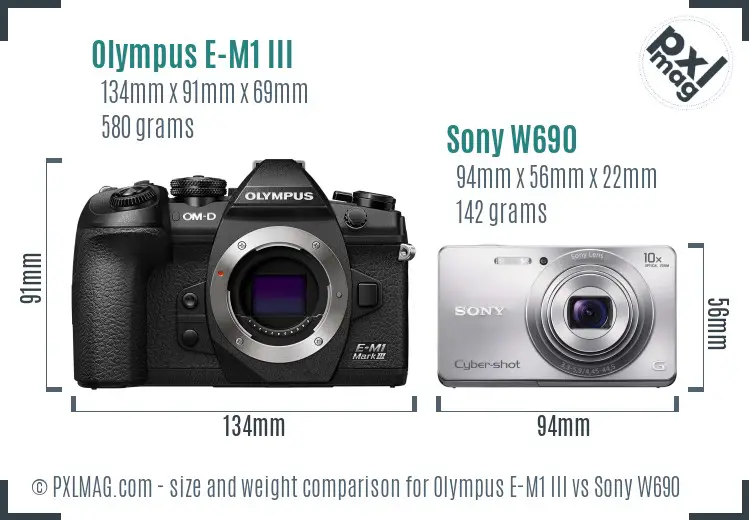 Olympus E-M1 III vs Sony W690 size comparison