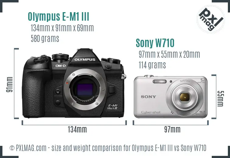 Olympus E-M1 III vs Sony W710 size comparison