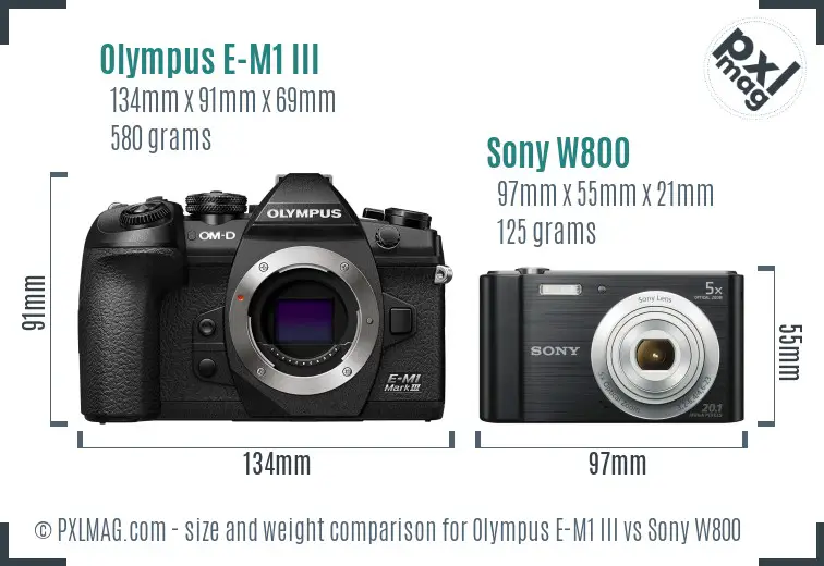 Olympus E-M1 III vs Sony W800 size comparison Olympus E-M1 III vs Sony W800 size comparison