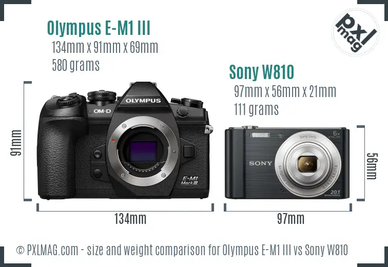 Olympus E-M1 III vs Sony W810 size comparison